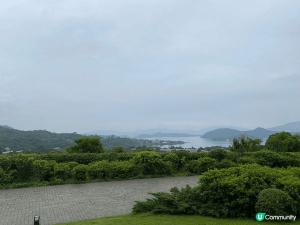 慈山寺是一所漢傳佛教去院，位置香港大埔洞梓。在2003年，由...