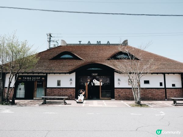 和歌山電鐵小玉電車博物館🐱！30分鐘穿越時空🚂！