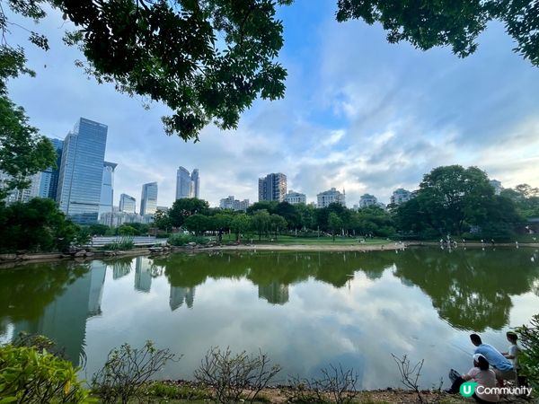香蜜公園月季花海🌸 拍拖一流！