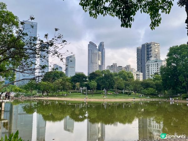 香蜜公園月季花海🌸 拍拖一流！