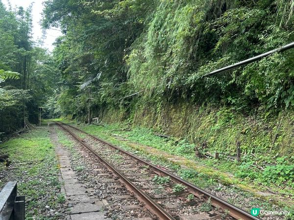 2025年今個6月帶左外婆去台北