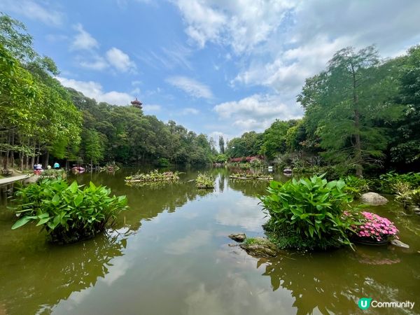 深圳仙湖公園一日遊🏞️！郊遊Feel！🚌