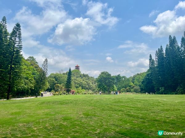 深圳仙湖公園一日遊🏞️！郊遊Feel！🚌