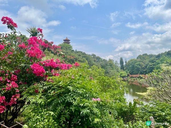 深圳仙湖公園一日遊🏞️！郊遊Feel！🚌