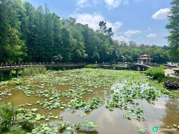 深圳仙湖公園一日遊🏞️！郊遊Feel！🚌