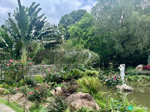 深圳仙湖公園一日遊🏞️！郊遊Feel！🚌