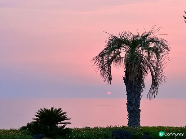 🌅必睇👍🏻 超級推薦酒店住宿🥰