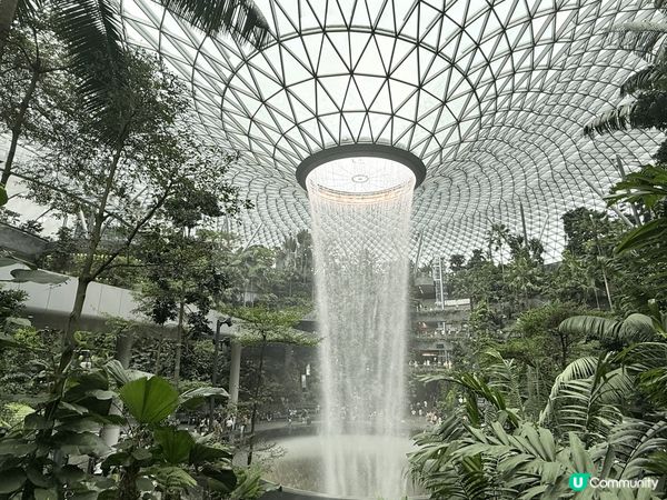 新加坡🇸🇬樟宜機場的大爆布和模仿新加坡海濱花園打卡點，免費景...