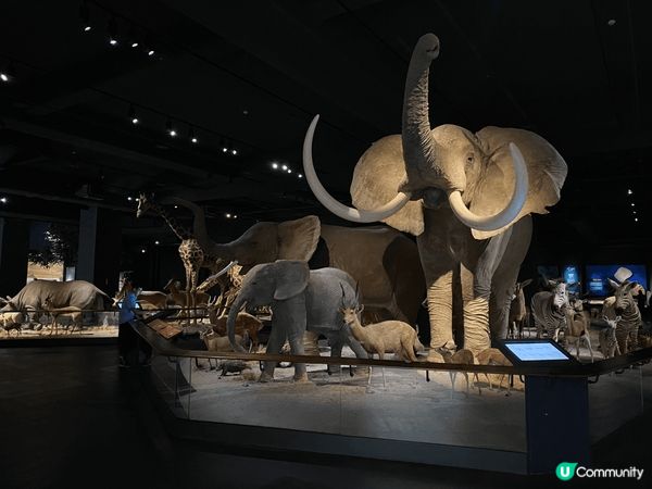 台南 奇美博物館