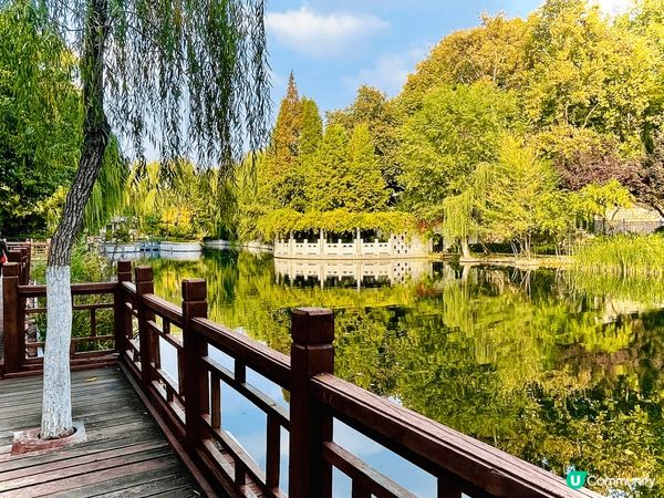 濟南一日遊，賞泉城美景。