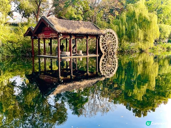 濟南一日遊，賞泉城美景。