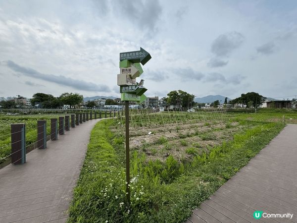 上水塱原自然生態公園是一個結合濕地保育、農耕作業與自然教育於...