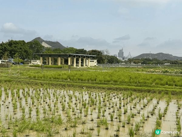 上水塱原自然生態公園是一個結合濕地保育、農耕作業與自然教育於...