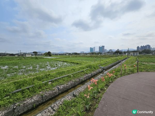 上水塱原自然生態公園是一個結合濕地保育、農耕作業與自然教育於...