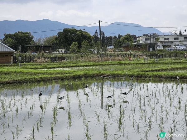 上水塱原自然生態公園是一個結合濕地保育、農耕作業與自然教育於...