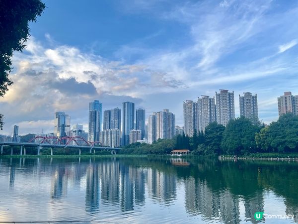 洪湖公園南邊遊，荷花仙氣爆棚！🌸✨