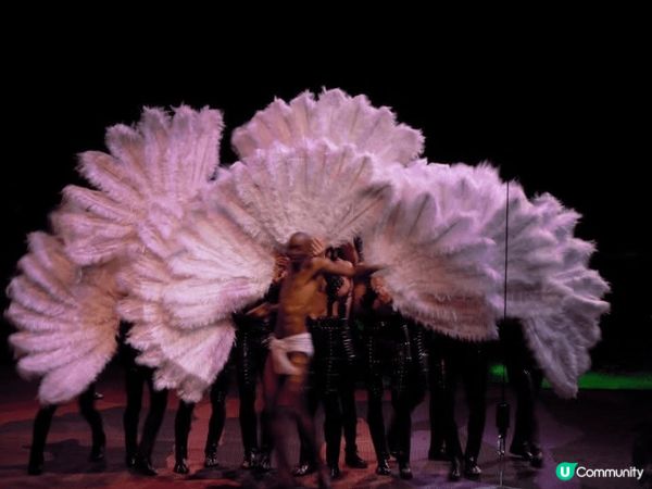 澳門必到新濠天地觀賞精彩絕倫的「水舞間」👯‍♀️💃「水舞間」...