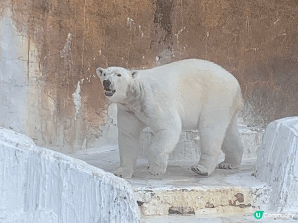 1. 大阪打卡之旅📸！靚景萌物全收錄🤩！