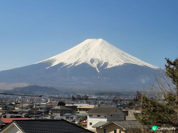 難忘東京賞櫻之旅，希望不久將來可再次欣賞各種櫻花的美態，未去...