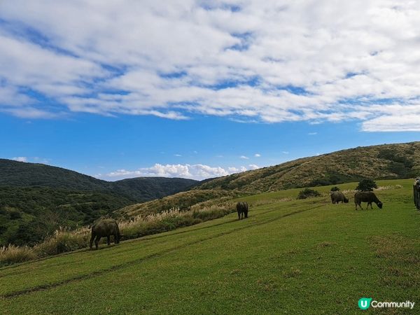 我去過okinawa兩次每次也是有不一樣的旅遊體驗而且食物質...