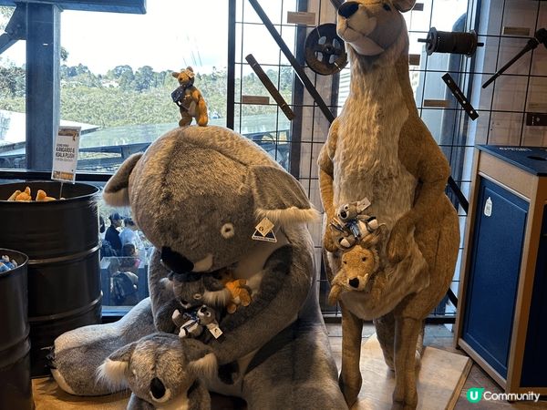 藍山係悉尼人氣景點之一，以壯麗山景同「三姊妹岩」聞名，相傳三...