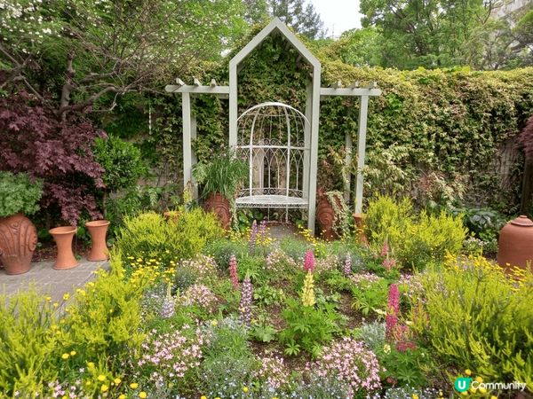 位於名古屋嘅鶴舞公園玫瑰園係一個好靚嘅打卡地點，鮮豔盛放嘅各...