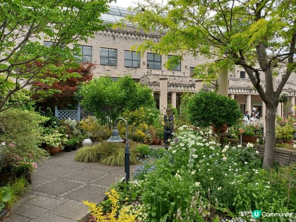 位於名古屋嘅鶴舞公園玫瑰園係一個好靚嘅打卡地點，鮮豔盛放嘅各...