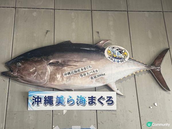 剛玩完沖繩旅遊，簡短行程，風和日麗，美食眾多，短短幾日，可以...