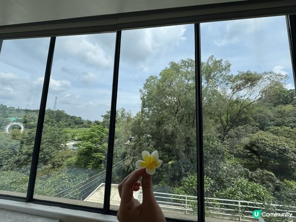 廣州花都民宿 滑完雪後嘆一嘆