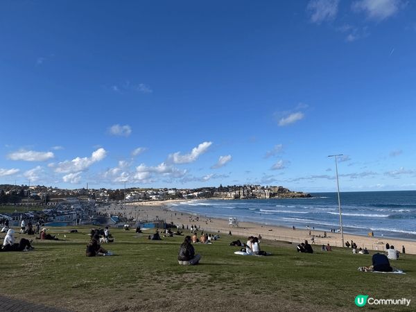 這些是澳洲悉尼著名的景點，包括邦達海灘、藍山國家公園以及悉尼...