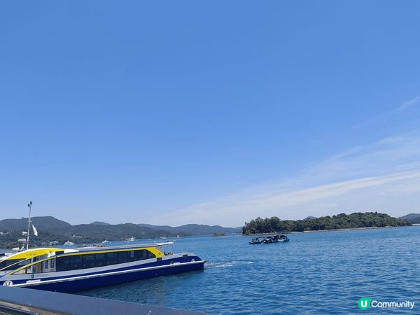 到西貢看海吃吃海鲜，途中還看到很久沒看過的牛隻，真是郊區才有...