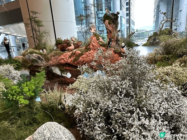 太古坊新裝置：城市中的園林小天地