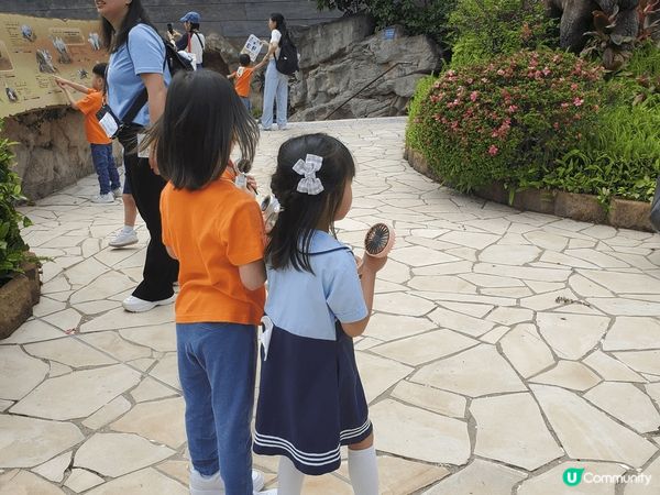 《好玩推介 ~ 挪亞方舟主題公園》