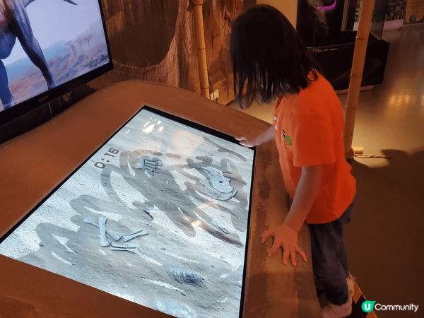 《好玩推介 ~ 挪亞方舟主題公園》