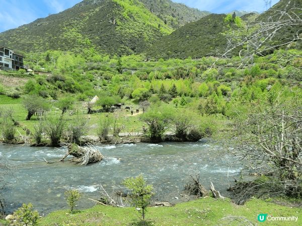 四川四姑娘山，風景超美，可比美瑞士阿爾卑斯山，但海拔有點高，...