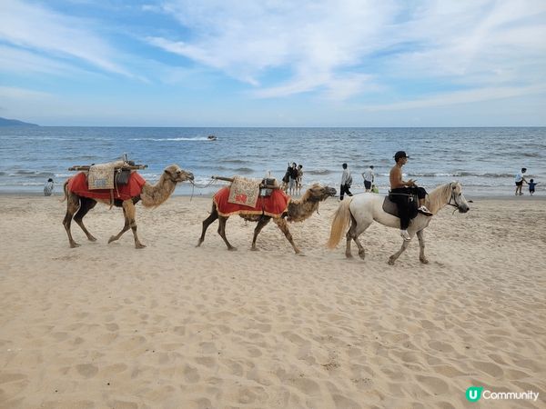 汕尾既陽光與海灘，重有美景，海灘同海水好乾淨，海灘重有駱駝騎...