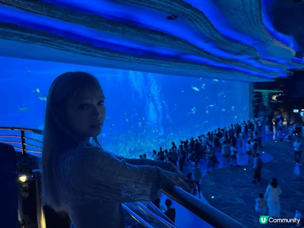 1)深圳室內遊樂場心跳頑家，有好多高空活動玩