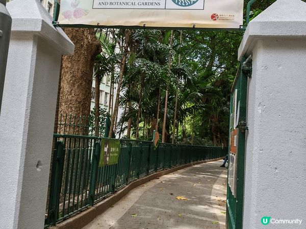 平日放假帶埋退休嬸嬸一同遊香港動植物公園，第一次看水瀨，真系...