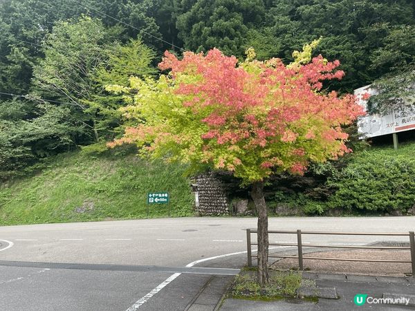 Travelling in Osaka autumn tim...