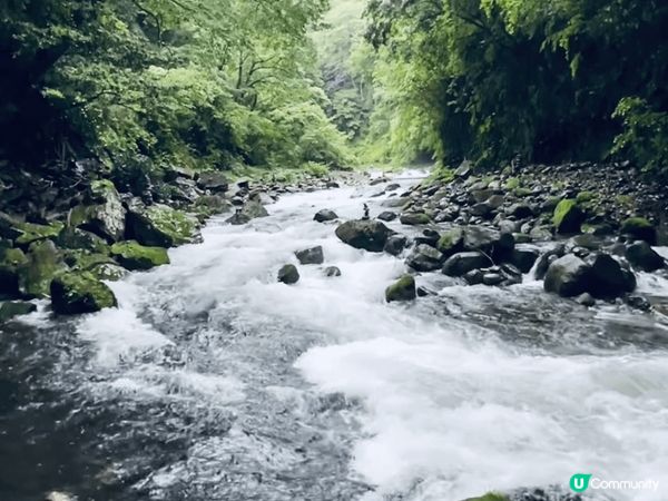 福崗咖啡之旅，咖啡豆多到唔知點揀，選擇困難症，仲要即揀即炒，...