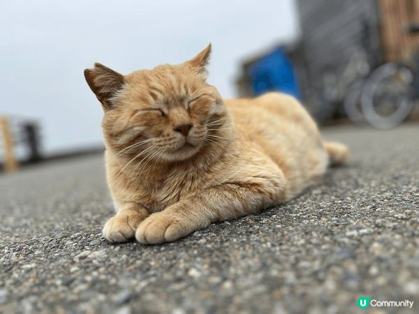 福崗咖啡之旅，咖啡豆多到唔知點揀，選擇困難症，仲要即揀即炒，...