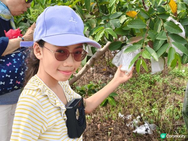圖1. 在深圳甘坑古鎮玩台風地震體驗館