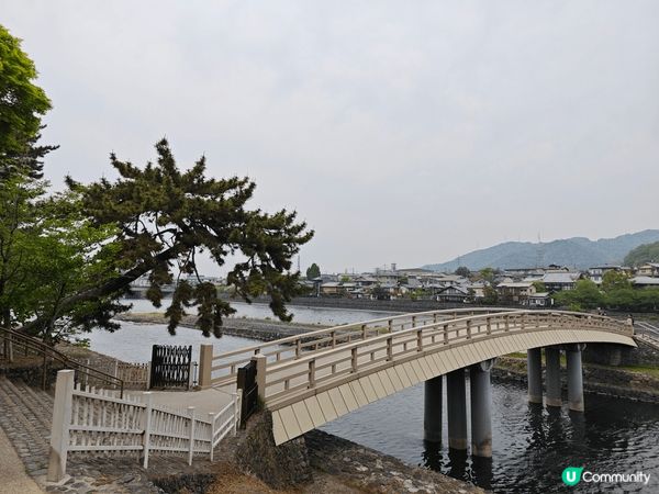 近排去了大阪旅行！係開心的！去了看京都清真寺真的十分漂亮！