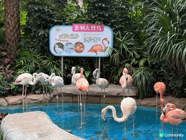 周遊列國、珠海、歐洲、台灣各地