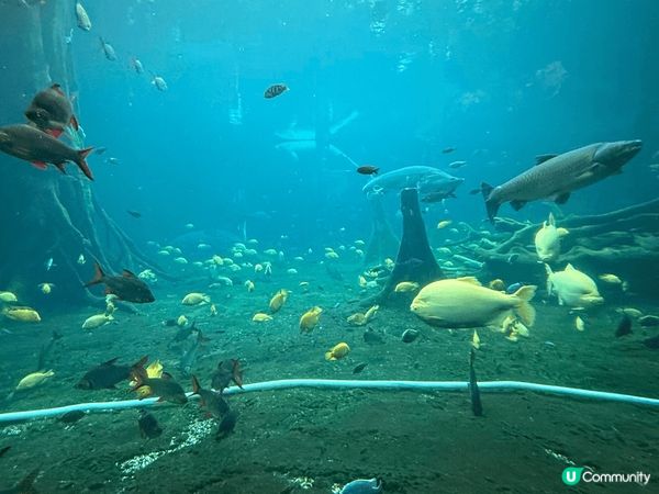 周遊列國、珠海、歐洲、台灣各地