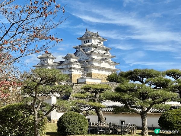 日本是一個舒適的地方 秋季🍂楓葉🍁 顏色多變 黃黃紅紅火火 ...
