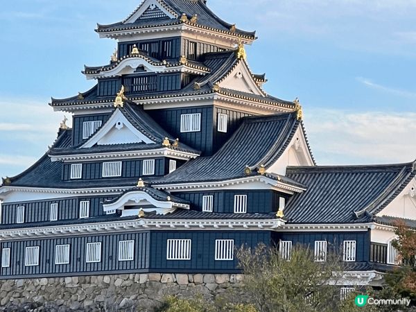 日本是一個舒適的地方 秋季🍂楓葉🍁 顏色多變 黃黃紅紅火火 ...