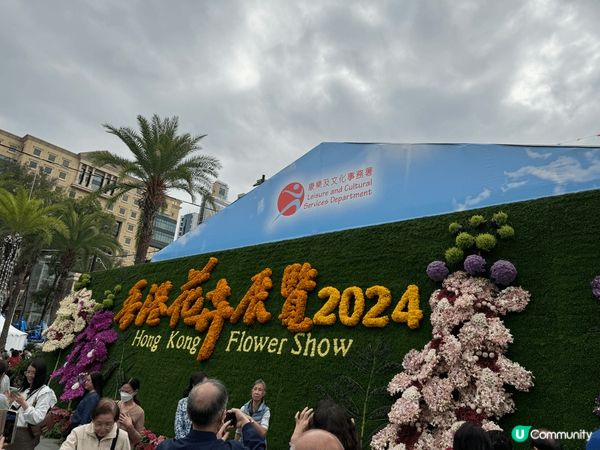 第一張係上水梧桐河徑風景優美，寧靜遠離煩囂