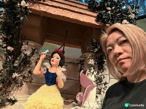 相片拍於今年2月新加坡之旅，景點是全部用花製造出來的迪士尼公...