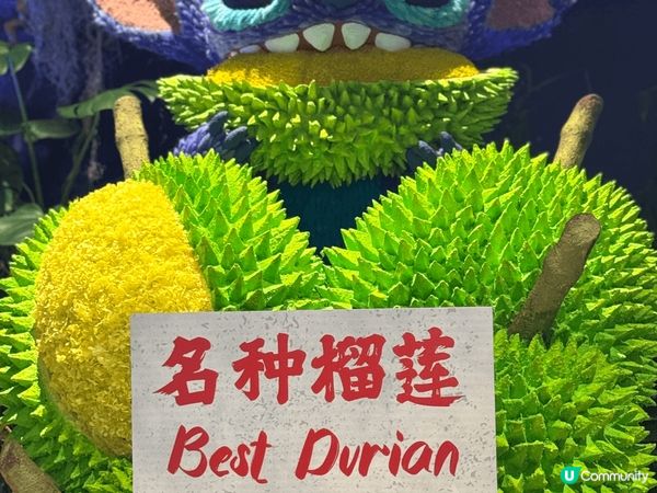 相片拍於今年2月新加坡之旅，景點是全部用花製造出來的迪士尼公...